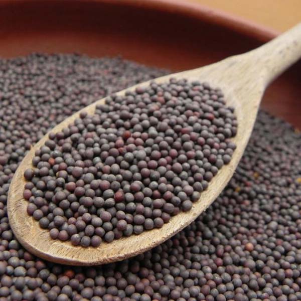 Black Mustard Seeds (Kala Sarso) Pack Of 250Gm